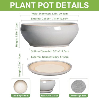 SQOWL Bonsai Tree Pots, 8 Inch Ceramic Plant Pots with Saucer, Gray - color: Gray, size: 8 Inch