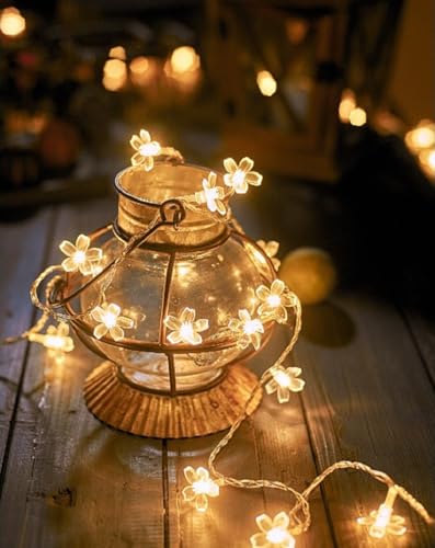 Flower String Lights, WFGGEH 20ft 40 LED USB Powered Cherry Blossom Fairy String Lights for Party Birthday Wedding Christmas Home Decoration