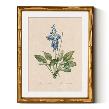 InSimSea Gold Bamboo Framed Wall Art, Blue Daylily Botanical Prints,11x14In - color: Blue Daylily