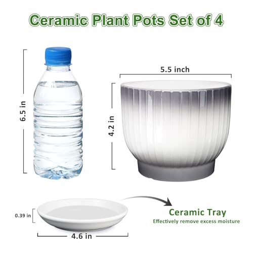 Ceramic Plant Pots, 5.5 Inch, Gray+White, Set of 4 - color: Gray + White, size: 5.5 Inch(4 PCS)