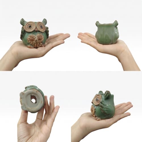 Okllen 6 Pack Mini Animal Ceramic Succulent Planter Set, Cute Elephant, Turtle, Owl, Snail, Succulent Pots with Drainage Hole, Ideal for Bonsai, Indoor, Outdoor