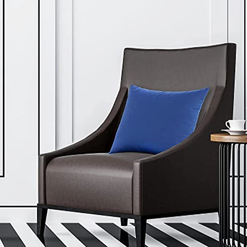 JMGBird Navy Outdoor Pillows Inserts Included Patio Pillows for counh - color: Dark Blue