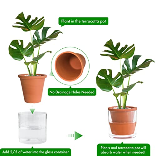 D'vine Dev Self Watering Terracotta Planter Pot, 6 in, 37-X-B-1 - color: Terracotta, size: 6 Inch