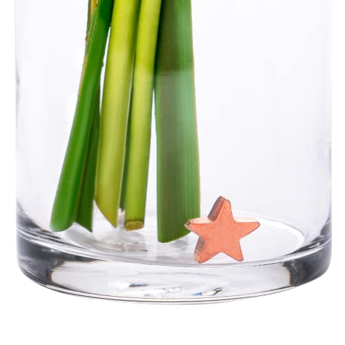 Flower Food Alternative for Fresh Cut Flowers. Copper Charm Keeps Flower Water Clean and Clear. Just Place it in the Vase, Reusable Star 10 - color: Star, size: Pack of 10