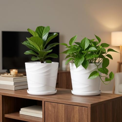 6 Inch Plant Pot,Ceramic Planter with Drainage and Saucer(6.7 In Diameter) - color: Pure White, size: 6.7 Inch-2 Pack