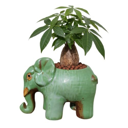 Cute Animal Elephant Shaped Ceramic Succulent Cactus Air Plant Flower Pots Planters-Plant Not Included (6.7 Inch) - size: 6.7 Inch