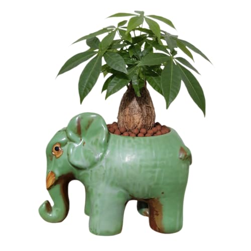 Cute Animal Elephant Shaped Ceramic Succulent Cactus Air Plant Flower Pots Planters-Plant Not Included (6.7 Inch) - size: 6.7 Inch