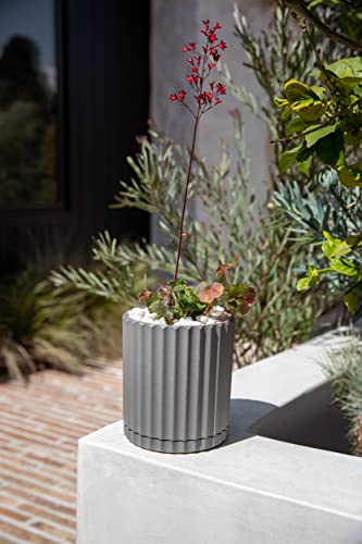 Veradek Demi Series Demi 6" Planter w/Tray - Grey, 2 Pack - color: Gray, size: 6 inch - 2 Pack