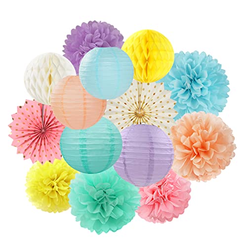 Pastel Rainbow Party Decorations Streamers - 14pcs Boy Girl Kids Birthday Supplies,Pink Yellow Blue Paper Lanterns Fan,Tissue Pom Poms,Honeycomb Balls, Baby Shower Wedding Decor Lasting Surprise - color: Macca Rainbow