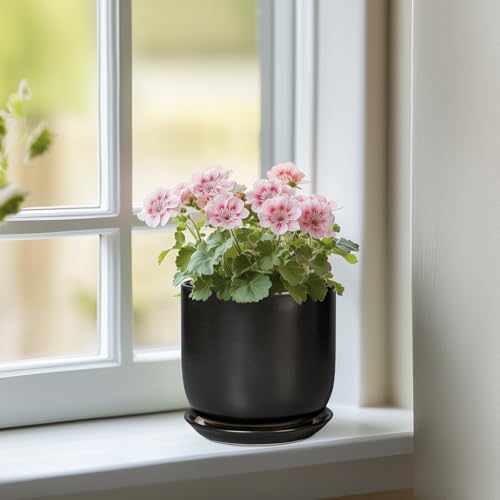 Ceramic Pot for Plants 5 Inch - Modern Round Indoor Planter for Cactus Succulent Plants with Drainage Hole and Saucer, Home Room House Office Decor, Black - color: Matte Black, size: 5.3 Inch