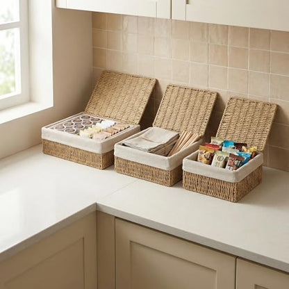 Large Storage Baskets with Lid Set of 3, Woven Bins with Liner - size: Large with Lids