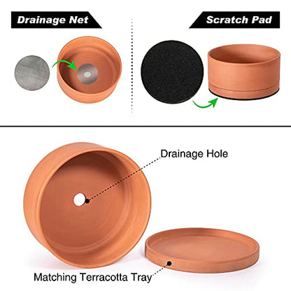 D'vine Dev Terracotta Shallow Planter Pot with Saucer, 10 in, 40-Y-B-0 - size: 10 Inch
