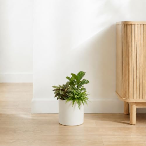 7 Inch Beige Metal Plant Pot with Drainage Hole, Indoor Outdoor - color: Beige