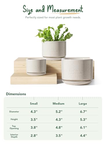 LE TAUCI Ceramic Pots for Plants, 4.3+5.3+6.8 Inch, Set of 3, Glazed Beige - color: Reactive Glaze Beige, size: 4.3"+5.3"+6.8"