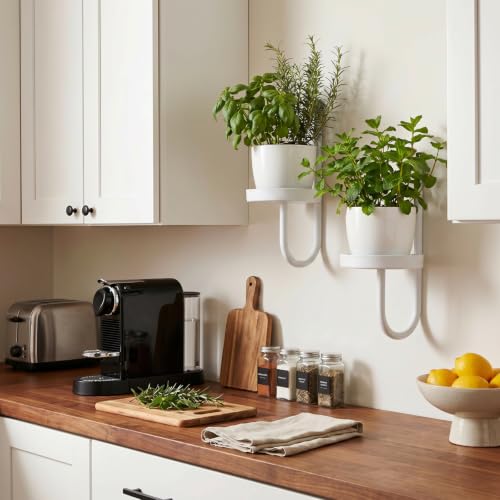 2 Pcs Wall Plant Holder Wall Mounted Hanging Planters for Indoor Plants Planters Shelf Metal Floating Stand for Living Room Bathroom Window(White)