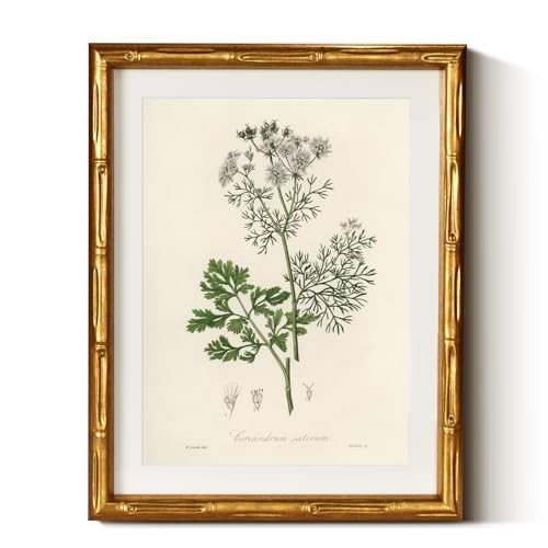 InSimSea Gold Bamboo Framed Wall Art, Plants Fern Botanical Prints, 11x14In - color: Coriander