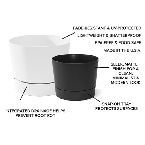 Root & Vessel Majestic Mid-Century Modern Low Profile Cylinder Pot, Matte Black, 6.5" - color: Matte Black, size: 6.5-Inch