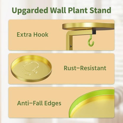LASZOLA Plant Hanger Holder Window Shelf Wall Mounted Indoor, 2 Pcs Gold - color: Gold, size: 2