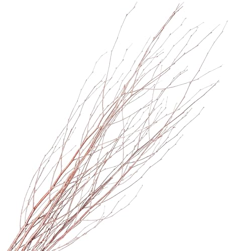 Branches for Vase, 3'–4' Natural Birch Tree Branches for Decoration, Bundle of 10 Tall Decorative Sticks for Vases, Rustic Wood Branches for Crafts, Weddings, Seasonal Home Décor - Natural - color: Natural