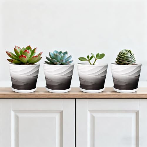 5 Inch Ceramic Plant Pots(5.5 in Diameter),Set of 4 - color: Dark Gray + White, size: 5.5 Inch-4 Pack
