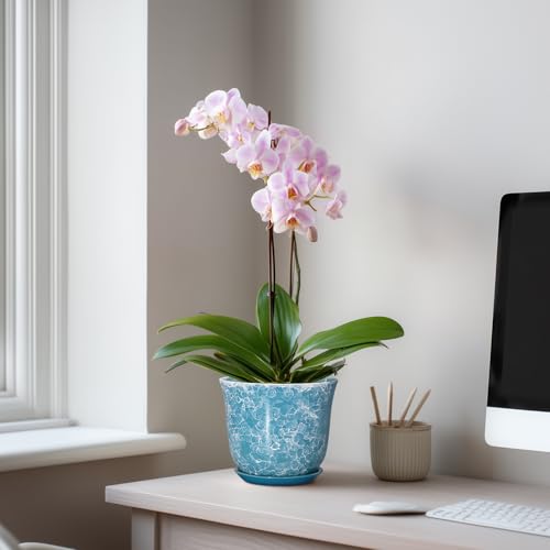 Ceramic Pots for Plants, 5.6 Inch Plant Pot with Drainage, Blue - color: Gemstone Blue, size: 6 Inch