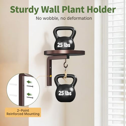 LASZOLA Plant Hanger Holder Window Shelf Wall Mounted Indoor, 2 Pcs Brown - color: Bronze, size: 2