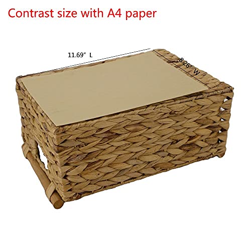 Natural Woven Water Hyacinth Storage Basket with Wood Handles, Large - color: Natural, size: 14.17x 10.23x 6.69