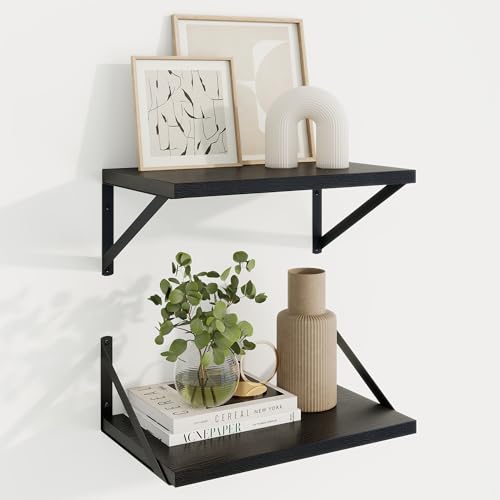 Axeman Deep Floating Shelves, 16'' x 10'' Black Wall Shelves Set of 2 - color: Black, size: 16W x 10D