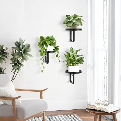 3 Pack Wall Plant Holder for Hanging Planters Indoor Outdoor Black - color: Black-3Pcs20cm