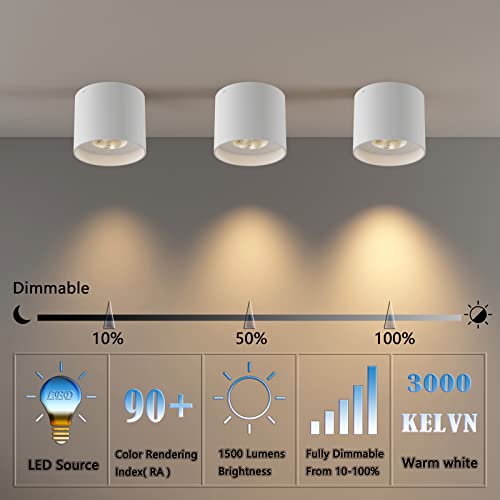 Ceiling Light Fixture, Flush Mount Ceiling Lights LED Dimmable Cylinder Ceiling Light Spot Light for Living Room Hallway Kitchen Dining Room Foyer 3000K 14.5W (White) 2-Pack - color: White 2pack