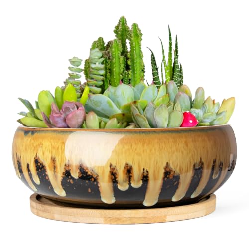 Succulent Pots, 7.3 Inch Ceramic Bonsai Pots with Drainage Tray, Plant Pots - color: Flow Glaze
