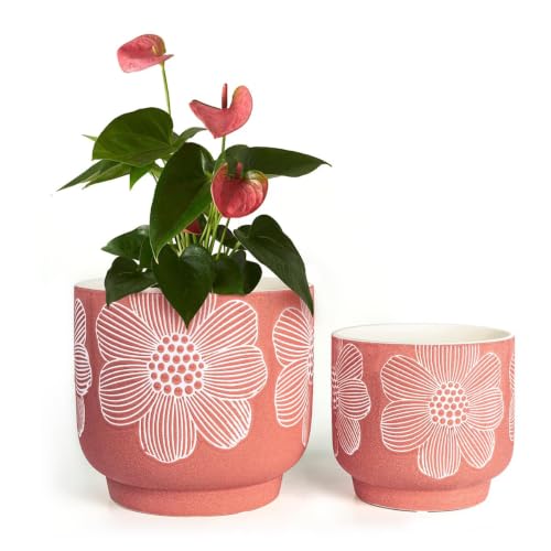Ceramic Plant Pots, 8+6 Inch, 2 Pcs Indoor Planters with Drainage Holes - color: Mordern Red Floral, size: 8+6 Inch