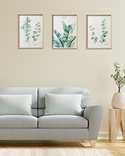12x16IN Green Plant Eucalyptus Leaf Framed Wall Art, Set of 3 - color: Framed Green Leaf, size: 16"L x 12"W