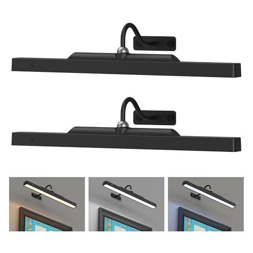 2Pack Picture Light, 13Hrs Lasting Battery Operated Picture Lights for Paintings,16in Remote Control Display Art Light with Timer for Wall Painting, Frame, Portrait, Display,Artwork,Gallery- Black - color: Black, size: 2 Pack