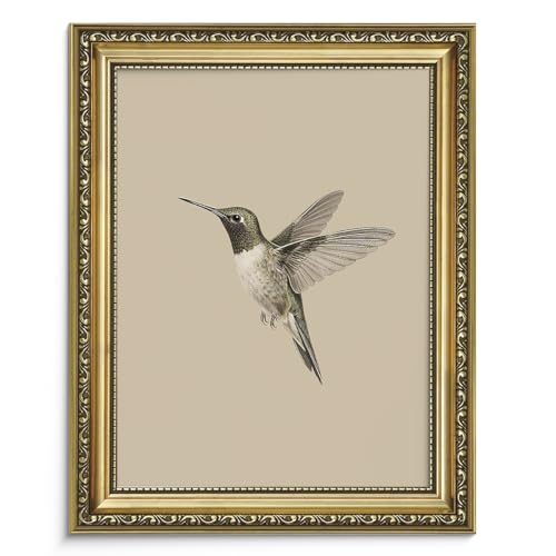 AIMAILON Framed Rural Hummingbird Pattern, Classic Animal Art Style 12x16 - color: Lonly Hummingbird, size: 16"L x 12"W