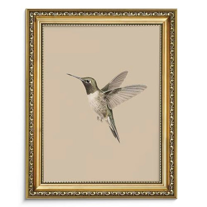 AIMAILON Framed Rural Hummingbird Pattern, Classic Animal Art Style 12x16 - color: Lonly Hummingbird, size: 16"L x 12"W