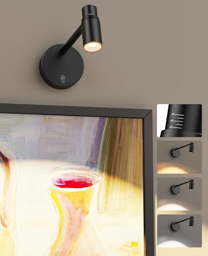 PESUTEN Zoomable Picture Light for Wall, Battery Operated Art Light for Paintings CCT Dimmable Spotlight for Wall Art Wall Light with Remote Control for Living Room Gallery Dartboard Bathroom