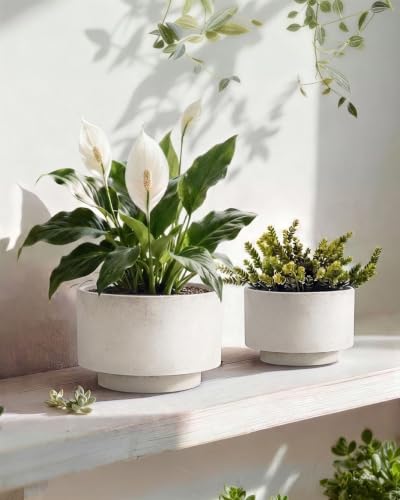 Succulent Pots, 8"+6" Plant Pots, Ceramic Planters for Indoor Plants - color: White