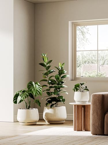 LE TAUCI Ceramic Planter, 10 Inch, Large Plant Pot, Reactive Glaze Beige - color: Reactive Glaze Beige, size: 10"