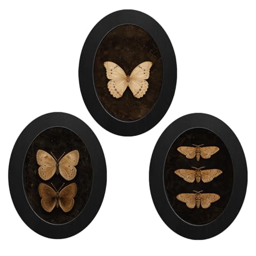 3Pcs Gothic Butterfly Moth Halloween Oval Wall Art Framed Specimen Decor | Moody Butterfly Specimen Canvas Prints Halloween Wall Decor for Home Farmhouse Living Room Bedroom - color: color-O