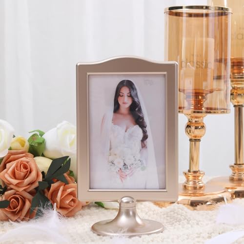 Meonua Double Sided Standing Picture Frames 4 x 6 Inch Pedestal Photo Frame Plastic Self Standing Frame Holds 2 Pictures Tabletop Frame for Wedding Table Bridal (10 Pack,Champagne Gold) - color: gold