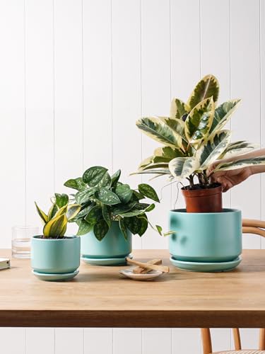 LE TAUCI Ceramic Pots for Plants, 4.3+5.3+6.8 Inch, Set of 3, Turquoise - color: Turquoise, size: 4.3"+5.3"+6.8"