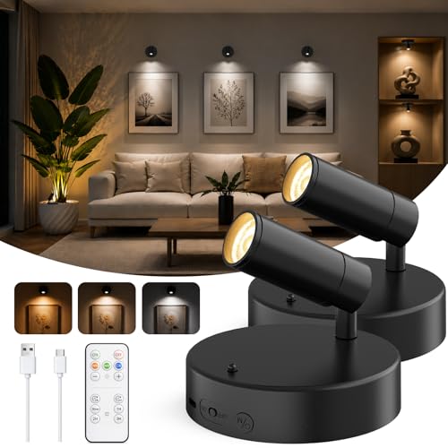Spotlights Indoor with Remote, 5500Mah Rechargeable Picture Lights on Wall - color: Black-5500mAh