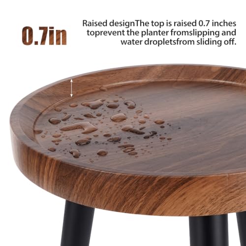 Mid Century Wood Plant Stand – 120 lbs Heavy Duty Plant Stand with Raised Tray & Spray Painted Legs, Solid Wood Side Table for Living Room, Bedroom, Entryway, Small Footprint for Plants, Decor (2 Pcs)