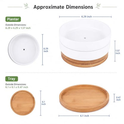Lawei 3 Pack 6 Inch Round Ceramic Succulent Planter Pots with Drainage and Bamboo Trays, Shallow Cactus Plant Pots for Indoor Plants, Modern White Flower Bowl Planters for Desktop Window Decor