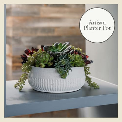 CG Hunter, Round Faux Succulent Arrangement, 12 in, White, Home Decor - size: 12" Round White