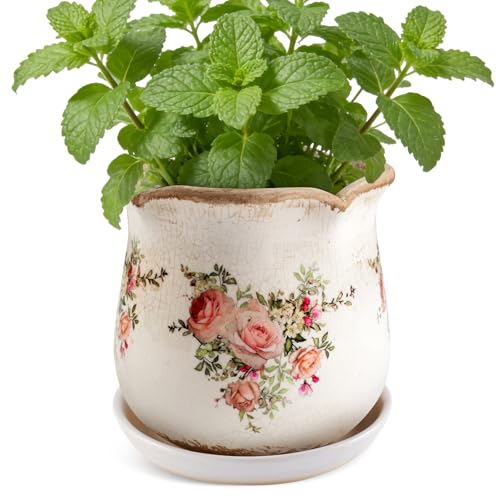Ceramic-Planters-for-Indoor-Plants with Saucer, 6 inch Vintage Ice Crackle Glaze Plant Pots with Drainage Holes, Decorative Flower Pots for Outdoor Garden Home Decor, Tuscan Pot for Plant - color: Pink Rose