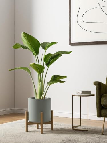 LE TAUCI 10+8+6 Inch Ceramic Pots for Plants, Indoor Planters with Drainage Hole and Plug, Modern Cylinder Flower Pots Set of 3 for Living Room and Bedroom, Glossy, Mist Gray - color: Mist Gray