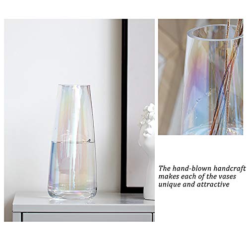 FANTESTICRYAN Modern Glass Vase, 8.7''H Decor Flower Vases Iridescent Clear - color: Neon Clear