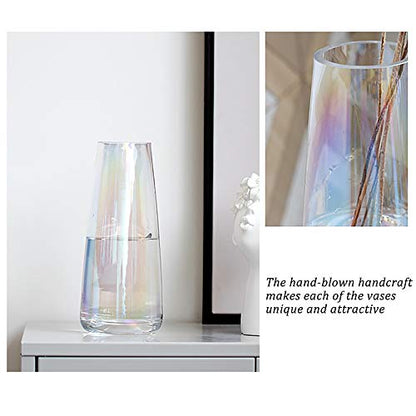FANTESTICRYAN Modern Glass Vase, 8.7''H Decor Flower Vases Iridescent Clear - color: Neon Clear